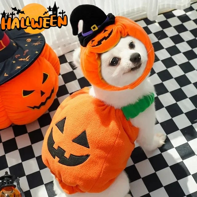 Halloween Pumpkin Dog Costume – Funny Pet Outfit with Hat for Small & Medium Dogs | Cute Pumpkin Design for Halloween Party & Photoshoot | Soft Comfortable Pet Clothing