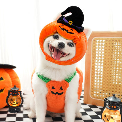 Halloween Pumpkin Dog Costume – Funny Pet Outfit with Hat for Small & Medium Dogs | Cute Pumpkin Design for Halloween Party & Photoshoot | Soft Comfortable Pet Clothing
