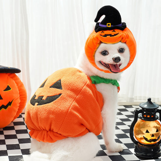 Halloween Pumpkin Dog Costume – Funny Pet Outfit with Hat for Small & Medium Dogs | Cute Pumpkin Design for Halloween Party & Photoshoot | Soft Comfortable Pet Clothing