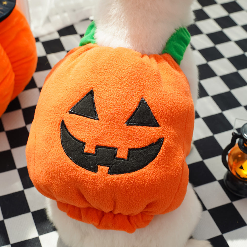Halloween Pumpkin Dog Costume – Funny Pet Outfit with Hat for Small & Medium Dogs | Cute Pumpkin Design for Halloween Party & Photoshoot | Soft Comfortable Pet Clothing