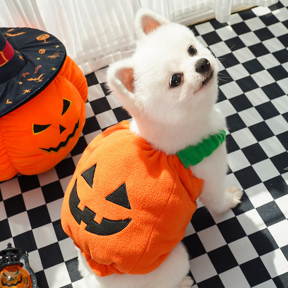 Halloween Pumpkin Dog Costume – Funny Pet Outfit with Hat for Small & Medium Dogs | Cute Pumpkin Design for Halloween Party & Photoshoot | Soft Comfortable Pet Clothing