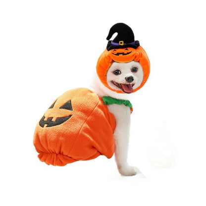 Halloween Pumpkin Dog Costume – Funny Pet Outfit with Hat for Small & Medium Dogs | Cute Pumpkin Design for Halloween Party & Photoshoot | Soft Comfortable Pet Clothing