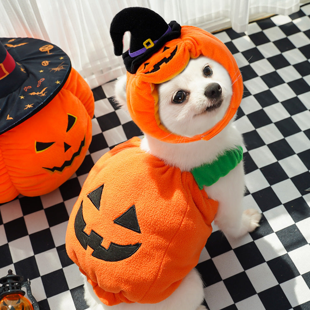 Halloween Pumpkin Dog Costume – Funny Pet Outfit with Hat for Small & Medium Dogs | Cute Pumpkin Design for Halloween Party & Photoshoot | Soft Comfortable Pet Clothing